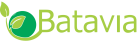 cropped-Logo_BataviaTeam_BlackBG-1.png